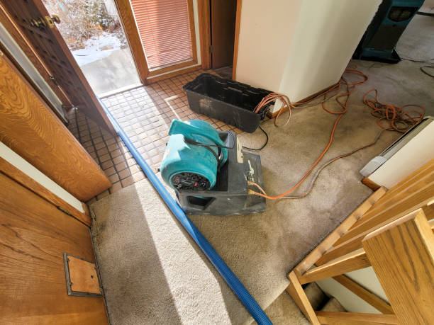 Water damage restoration experts in Huntington Bay, NY