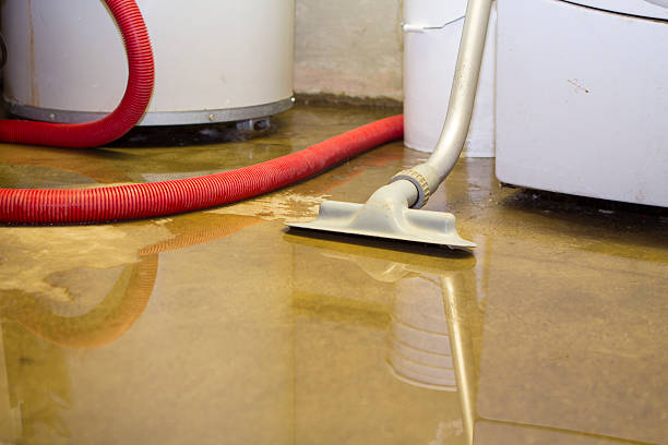 Best Mold removal after water damage  in Huntington Bay, NY